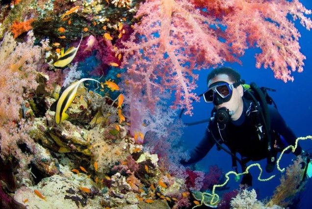 Intro Diving in Sharm El sheikh