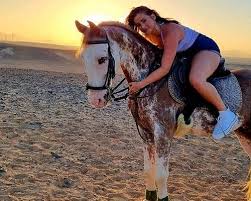 Horse Riding Safari